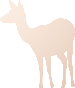 cerf_1.png