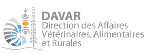 davar_1.jpg