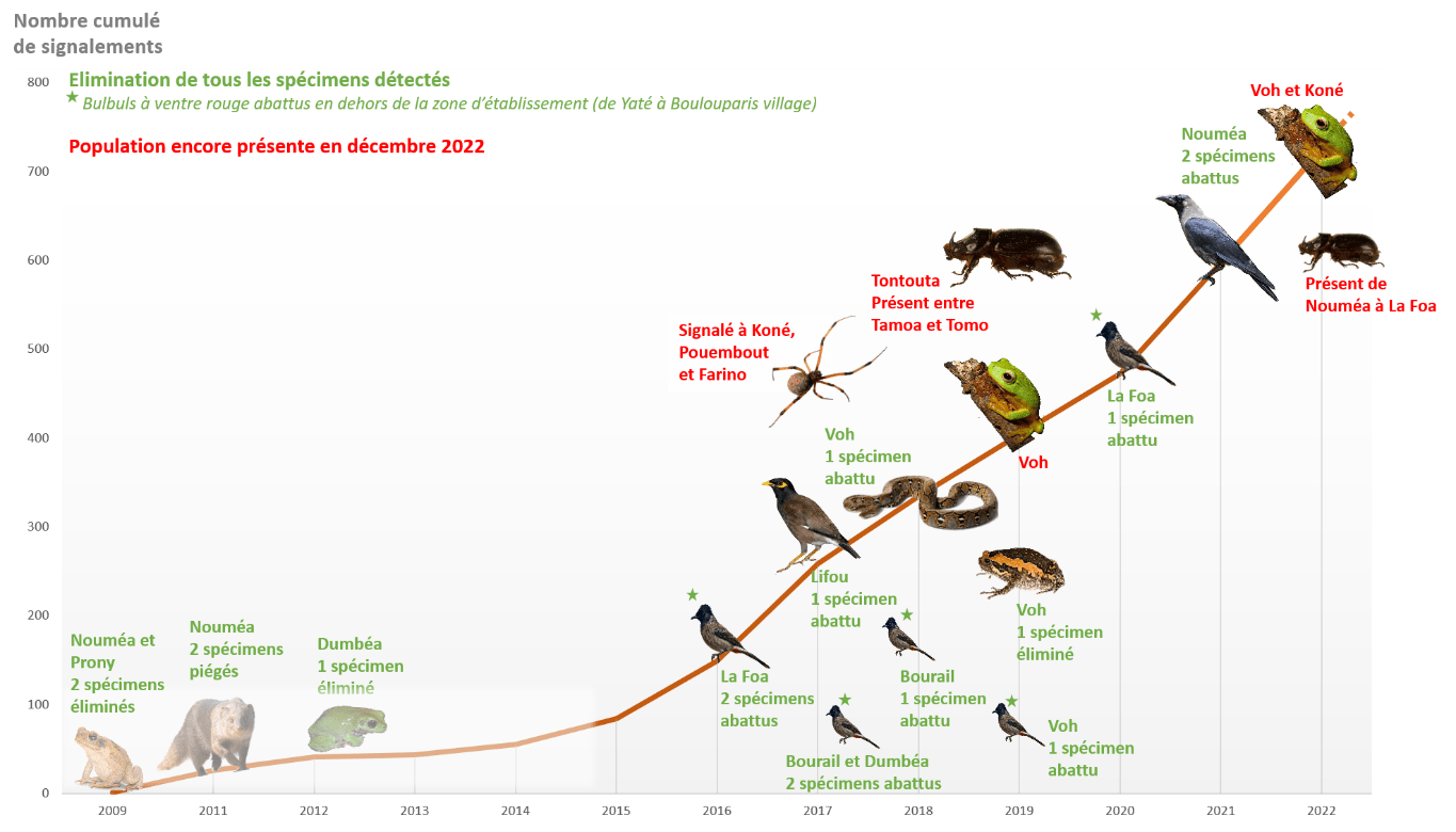 graphique-signalement-animaux_0.png