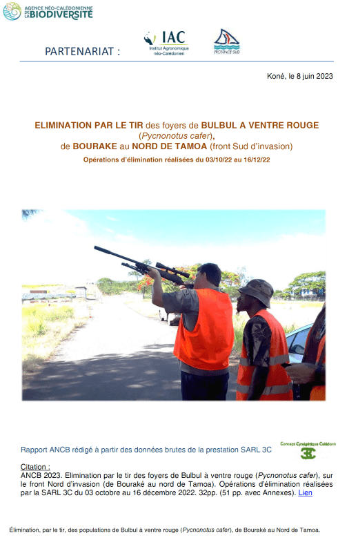 image36.png